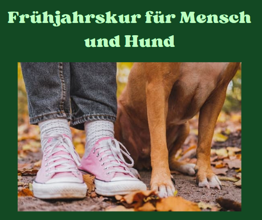 Screenshot 2025-03-05 102334.png